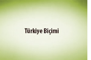 Mehmet Uum
